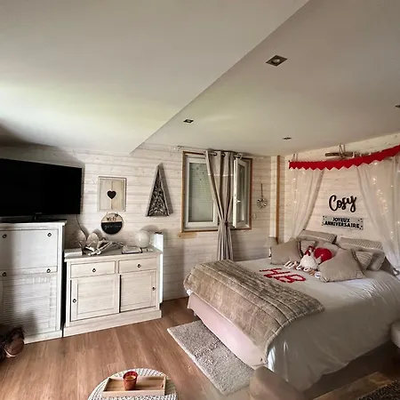 AU NID COSY D'ISA A GERARDMER VOSGES - Spas privatifs-2